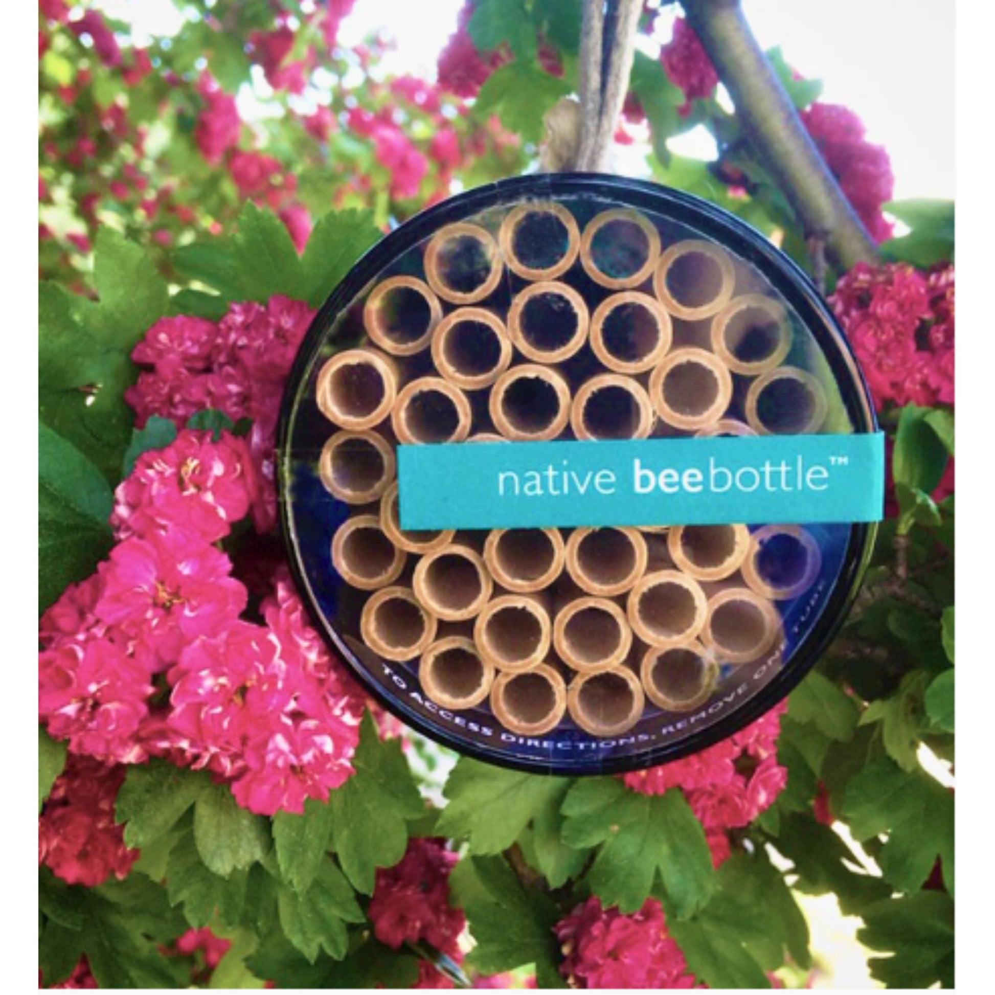 Handmade native bee bottle habitat with nesting tubes pictured in garden
