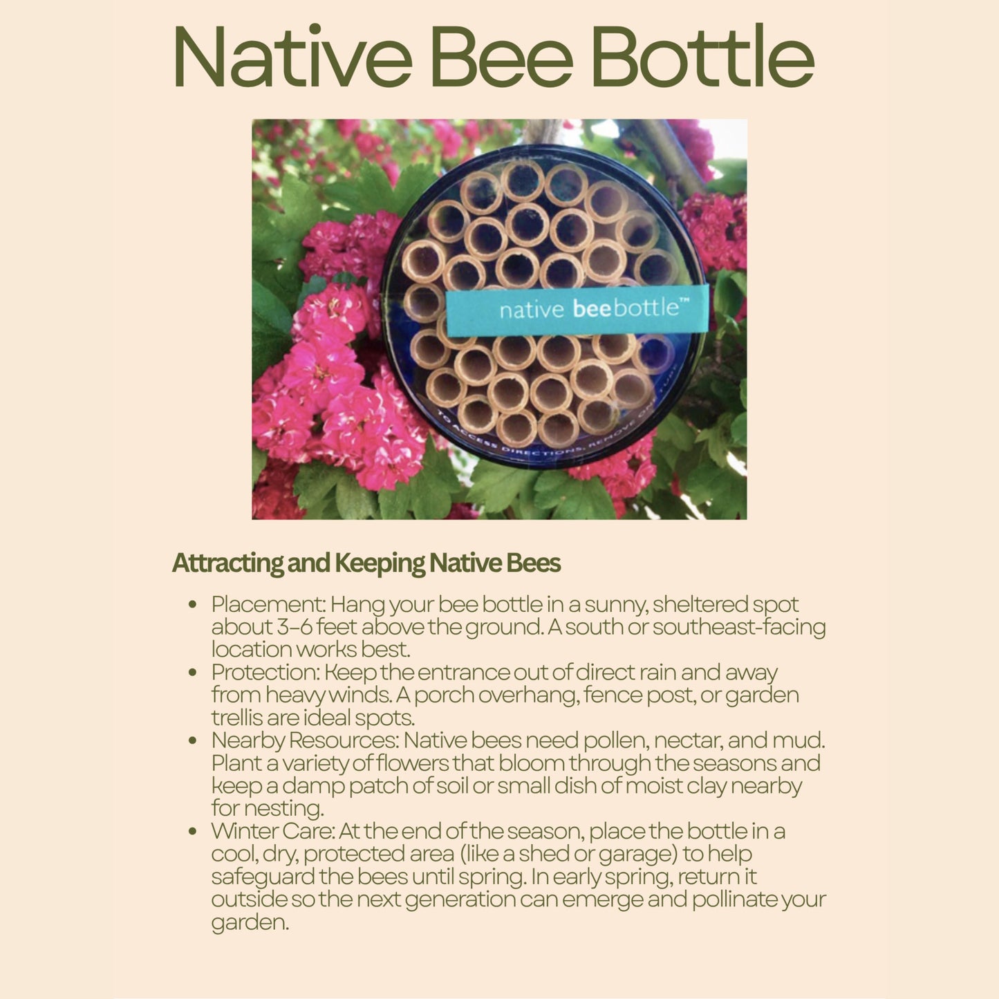Information card for Handmade native bee bottle habitat with nesting tubes